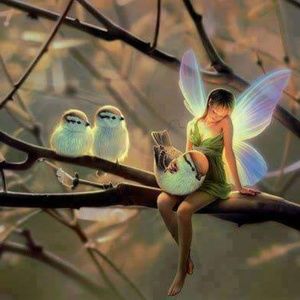 Meet your Posher, Callie